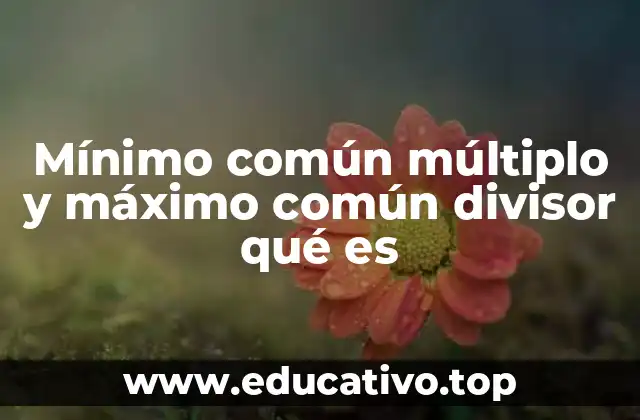 Mínimo común múltiplo y máximo común divisor qué es