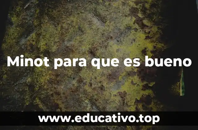 Cómo el Minot apoya la salud integral