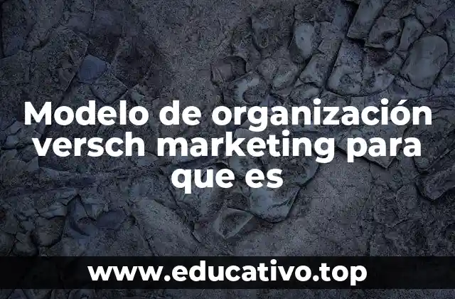 Modelo de organización versch marketing para que es