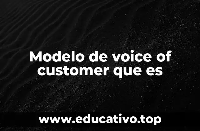 Modelo de voice of customer que es