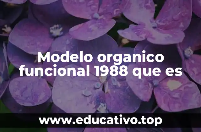 Modelo organico funcional 1988 que es
