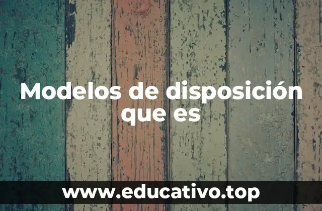 Modelos de disposición que es