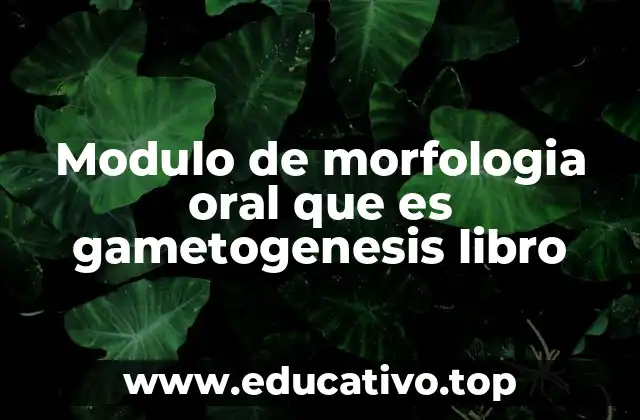 Modulo de morfologia oral que es gametogenesis libro