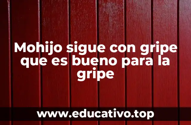 Mohijo sigue con gripe que es bueno para la gripe