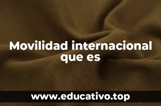 Movilidad internacional que es