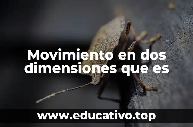 Movimiento en dos dimensiones que es