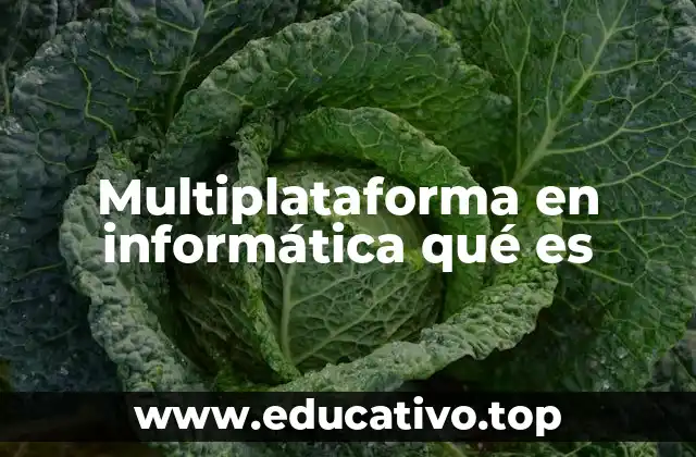 Multiplataforma en informática qué es