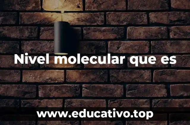 La importancia del nivel molecular en la ciencia