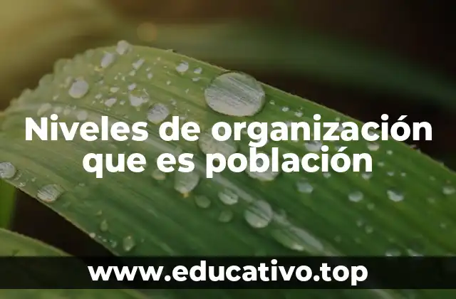 Niveles de organización que es población