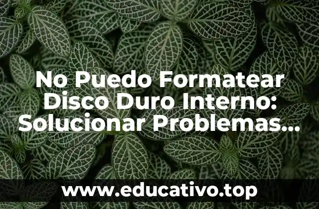 No Puedo Formatear Disco Duro Interno: Solucionar Problemas de Formateo