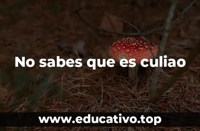 El lenguaje coloquial y su evolución en la cultura popular