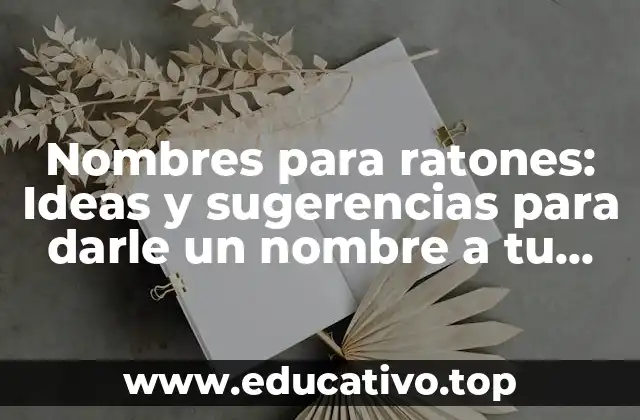 Nombres para ratones: Ideas y sugerencias para darle un nombre a tu mascota