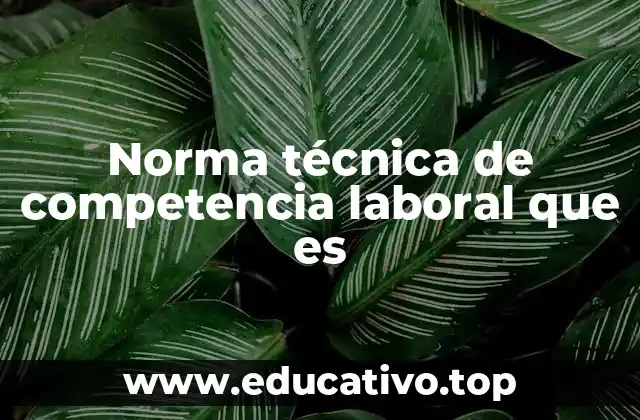 El papel de las normas técnicas en la formación profesional