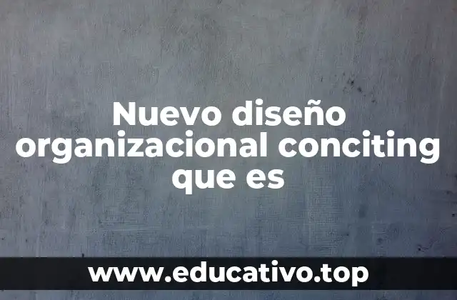 Nuevo diseño organizacional conciting que es