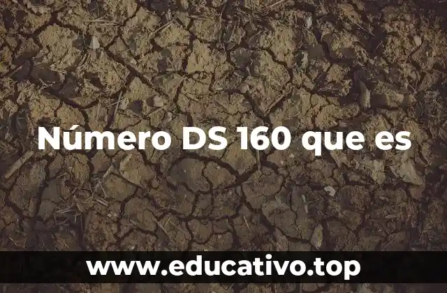 Número DS 160 que es