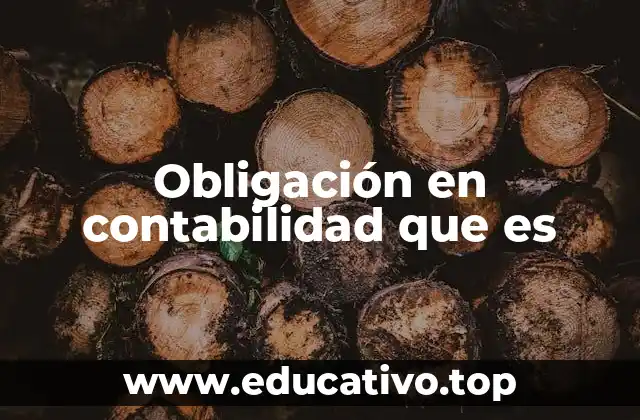 Obligación en contabilidad que es