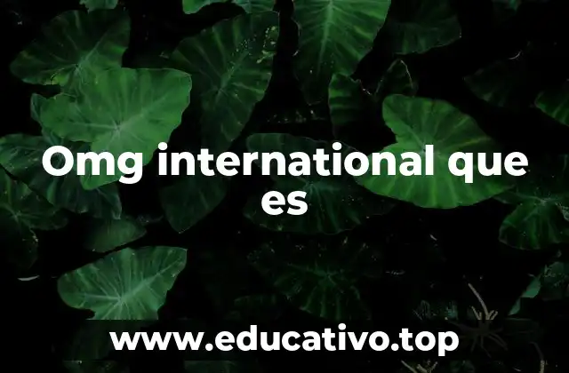 Cómo funciona el modelo de OMG International