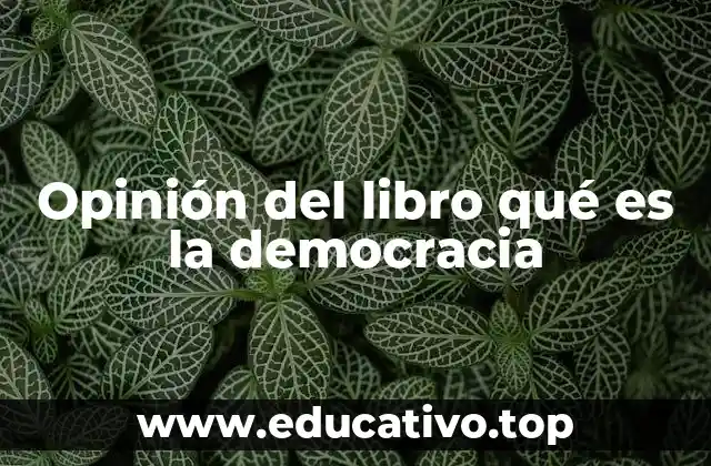 Opinión del libro qué es la democracia