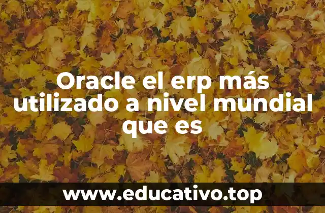 Oracle el erp más utilizado a nivel mundial que es