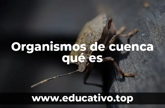 La importancia de la gestión integrada del agua en cuencas