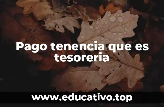 La relación entre el pago de tenencia y la tesorería