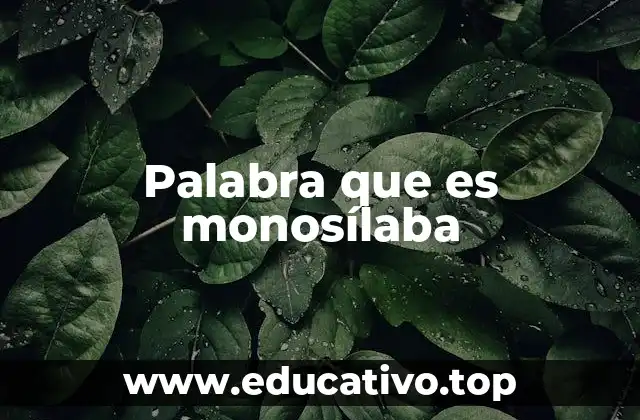 Palabra que es monosílaba