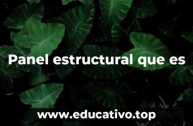Panel estructural que es