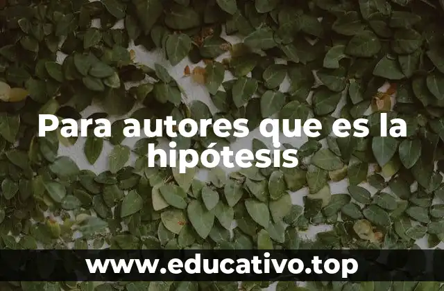 Para autores que es la hipótesis