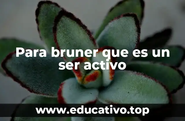 Para bruner que es un ser activo