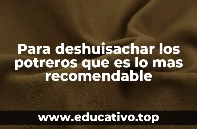 Para deshuisachar los potreros que es lo mas recomendable