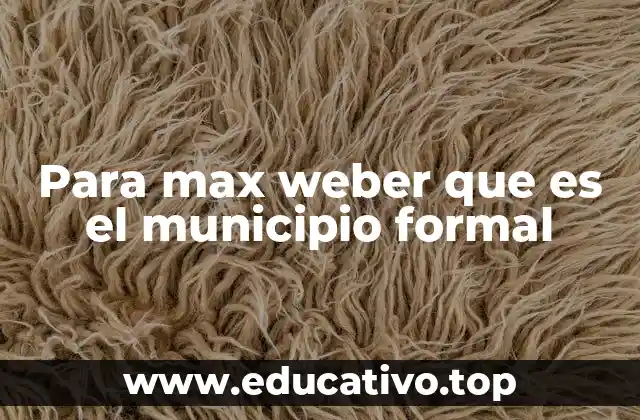 La evolución de las instituciones locales a través de la mirada de Weber