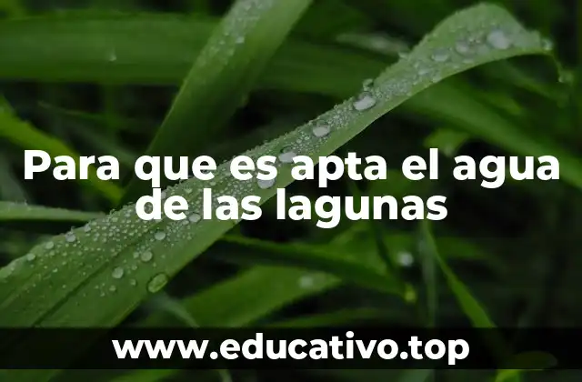 Para que es apta el agua de las lagunas