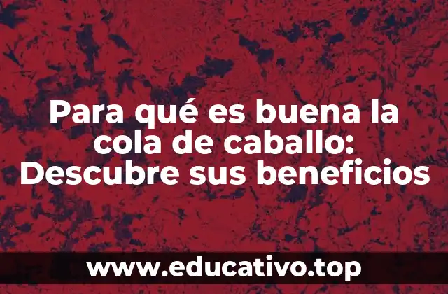 Para qué es buena la cola de caballo: Descubre sus beneficios