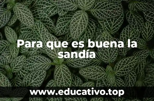 Para que es buena la sandía