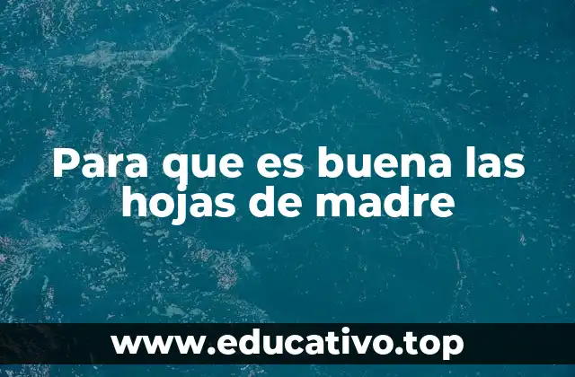 Para que es buena las hojas de madre