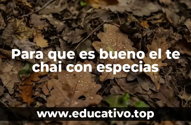Para que es bueno el te chai con especias