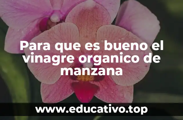 Para que es bueno el vinagre organico de manzana