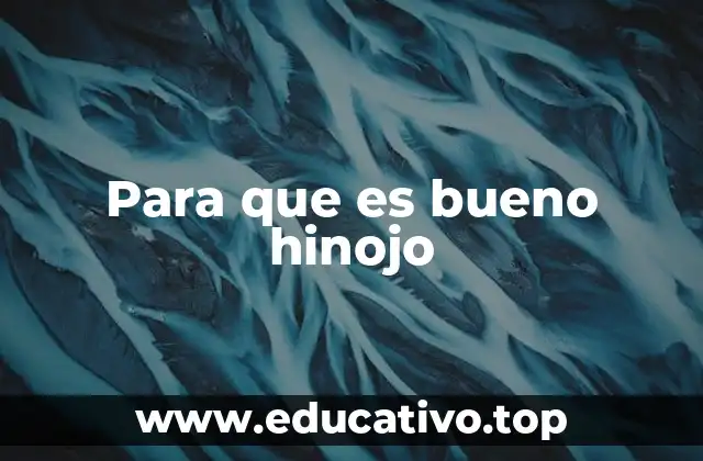 Para que es bueno hinojo