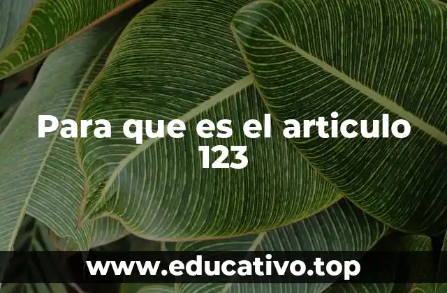 Para que es el articulo 123
