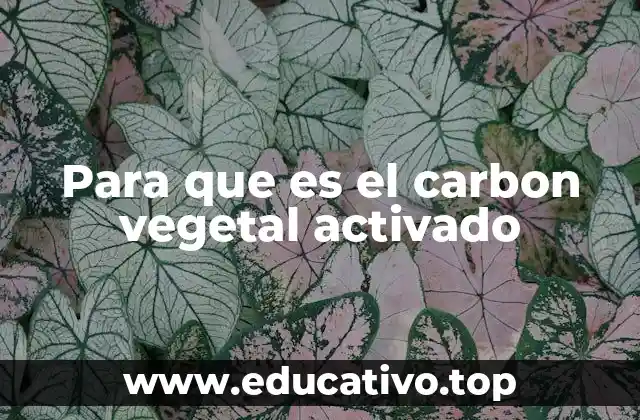 Para que es el carbon vegetal activado