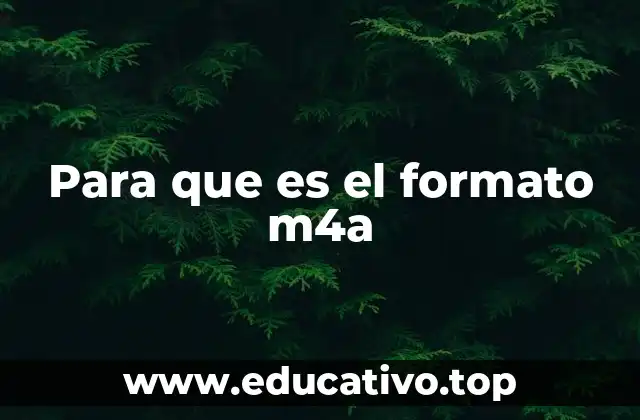 Cómo funciona el formato M4A y su relación con la codificación