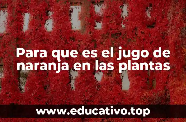 El jugo de naranja como solución natural para el cuidado de plantas