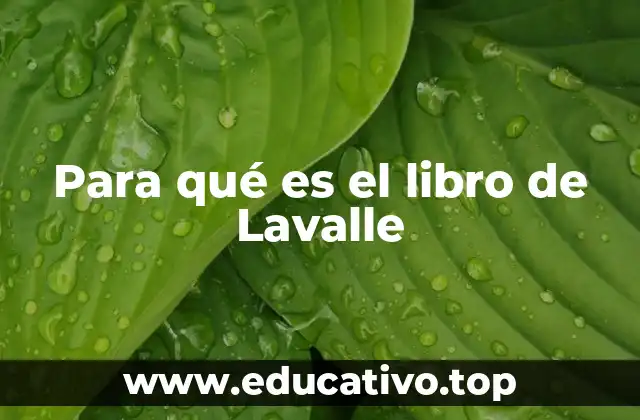 Para qué es el libro de Lavalle