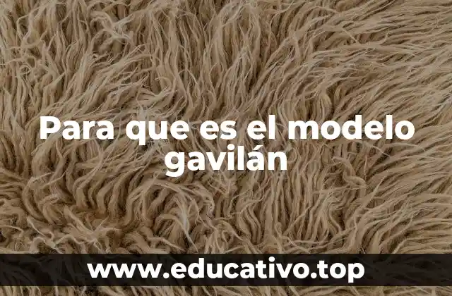 Para que es el modelo gavilán