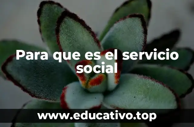 Para que es el servicio social