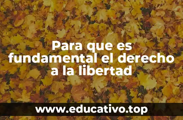 Para que es fundamental el derecho a la libertad