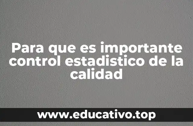 Para que es importante control estadistico de la calidad