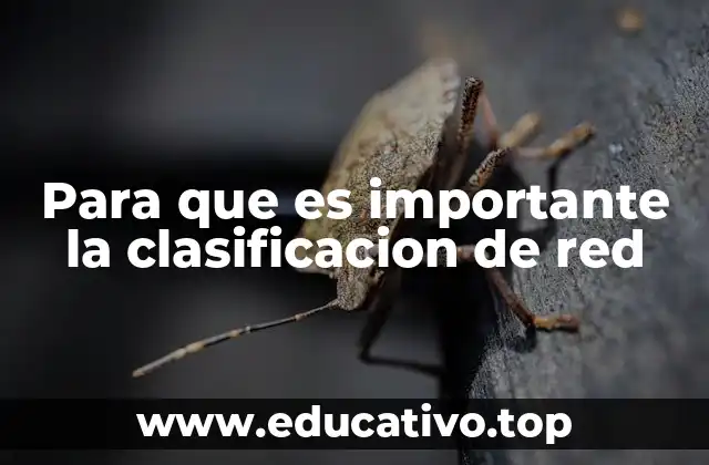 Para que es importante la clasificacion de red