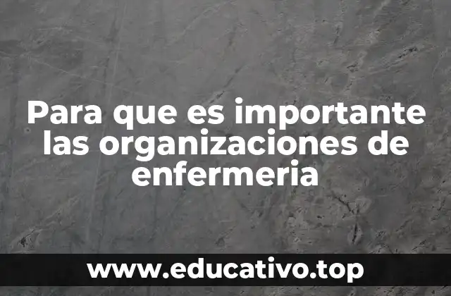 Para que es importante las organizaciones de enfermeria