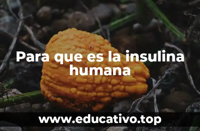 Para que es la insulina humana